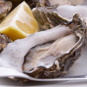 Gulf Oysters